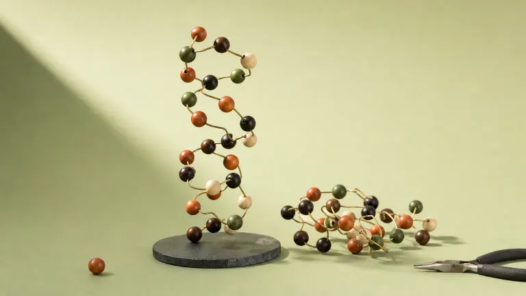 Wooden ball-and-wire peptide model twisted into a helix beside a tangled loose chain on sage-green paper.