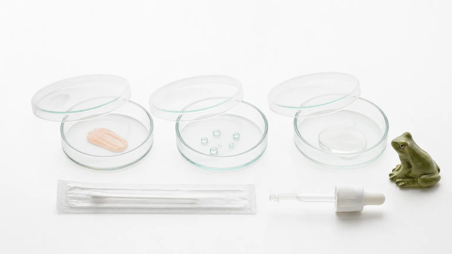 Three glass petri dishes in a row on white, with a small ceramic frog figurine, swab and dropper.